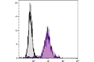 Mouse pre-B cell line 18-81 was stained with Rat Anti-Mouse CD71-BIOT. (Transferrin Receptor Antikörper  (Biotin))