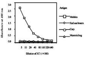 Standard curve for red sea bream, carp, mummichog and medaka ELISA, using Vitellogenin monoclonal antibody, clone 3C1  . (Vitellogenin 2 Antikörper)