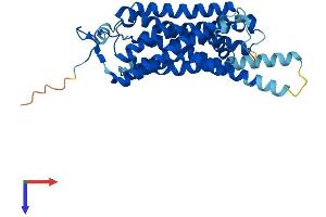 TAAR6 Protein (AA 1-345) (His tag)