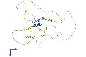 IRX4 Protein (AA 1-519) (His tag)