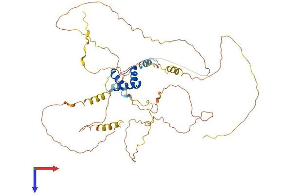 IRX4 Protein (AA 1-519) (His tag)