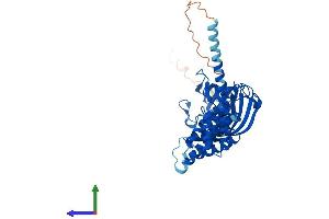 Protein Structure (PS) image for FK506 Binding Protein 4, 59kDa (FKBP4) (AA 1-458) protein (His tag) (ABIN7563088)