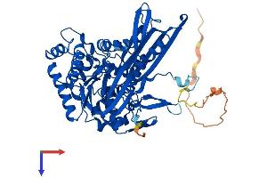 ISYNA1 Protein (AA 1-557) (His tag)