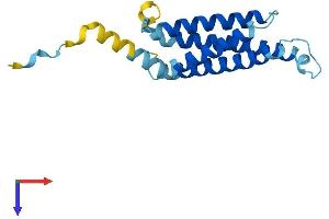 MARVELD1 Protein (AA 1-173) (His tag)