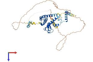 RAD18 Protein (AA 1-495) (His tag)