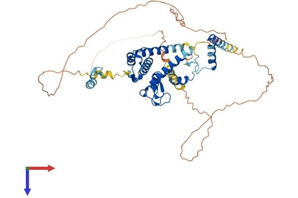 RAD18 Protein (AA 1-495) (His tag)