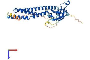 AlphaFold protein structure predicition of Human Recombinant FNDC11 Protein, UniprotID Q9BVV2