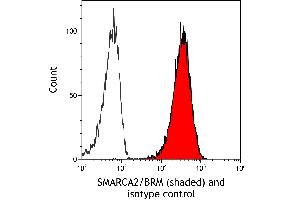 Flow Cytometry (FACS) image for anti-SWI/SNF Related, Matrix Associated, Actin Dependent Regulator of Chromatin, Subfamily A, Member 2 (SMARCA2) (AA 100-150) antibody (ABIN7795710)
