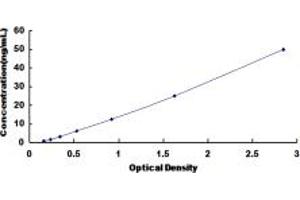 Typical standard curve (PLA2G3 ELISA Kit)