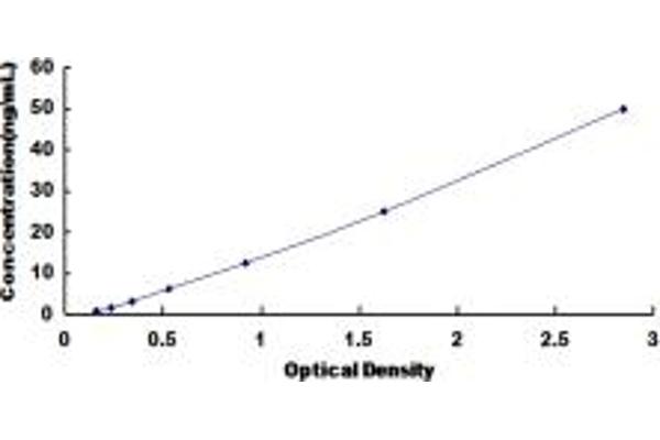 PLA2G3 ELISA Kit