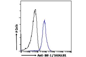 (ABIN184621)-P1 Flow cytometric analysis of paraformaldehyde fixed A431 cells (blue line), permeabilized with 0.