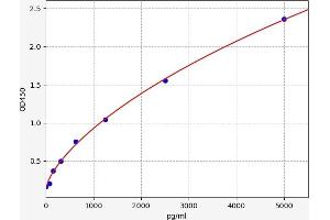 Typical standard curve (CD177 ELISA Kit)