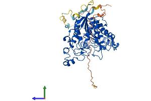 Protein Structure (PS) image for Histone Deacetylase 1 (HDAC1) (AA 1-482) protein (His tag) (ABIN7554086)
