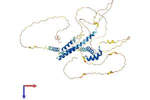 MEIS2 Protein (AA 1-477) (His tag)