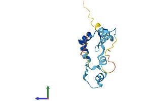 AlphaFold protein structure predicition of Human Recombinant ZNF593 Protein, UniprotID O00488