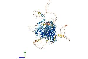 Protein Structure (PS) image for Potassium Channel, Subfamily T, Member 1 (KCNT1) (AA 1-1224) protein (His tag) (ABIN7564161)