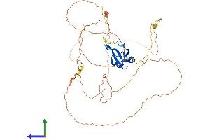Protein Structure (PS) image for RNA Binding Motif Protein 9 (RBM9) (AA 1-449) protein (His tag) (ABIN7558797)