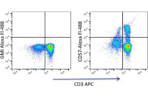 Flow Cytometry (FACS) image for anti-beta-1,3-Glucuronyltransferase 1 (Glucuronosyltransferase P) (B3GAT1) antibody (ABIN3071842) (CD57 Antikörper)