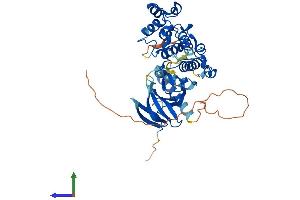 Protein Structure (PS) image for Mitogen-Activated Protein Kinase 9 (MAPK9) (AA 1-424) protein (His tag) (ABIN7554572)