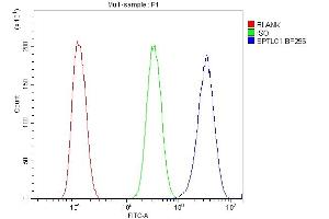 anti-serine Palmitoyltransferase, Long Chain Base Subunit 1 (SPTLC1) (AA 444-473), (C-Term) antibody
