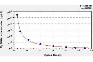 Typical Standard Curve (Lipocalin 2 ELISA Kit)