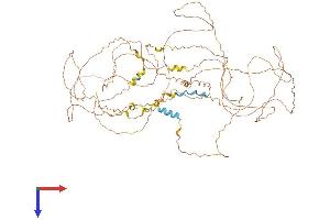 MAMLD1 Protein (AA 1-774) (His tag)