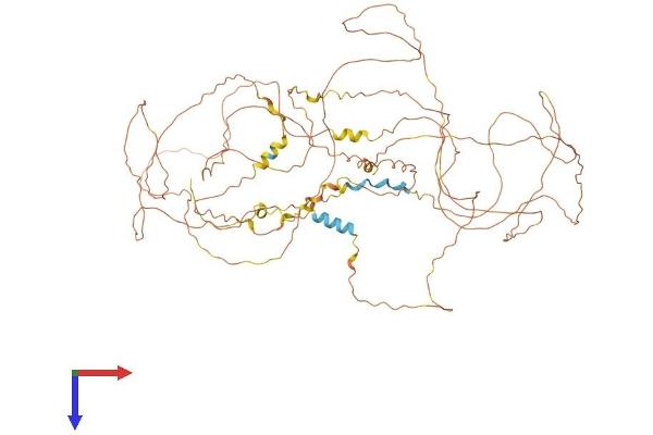 MAMLD1 Protein (AA 1-774) (His tag)
