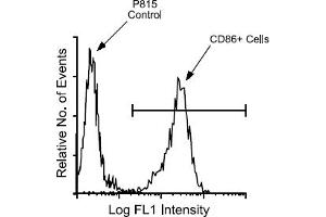 Flow Cytometry (FACS) image for anti-CD86 (CD86) antibody (FITC) (ABIN371183) (CD86 Antikörper  (FITC))
