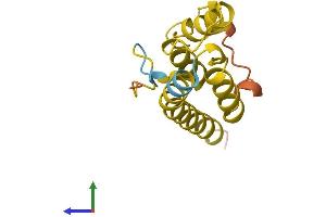 Protein Structure (PS) image for Torsin A Interacting Protein 2 (TOR1AIP2) (AA 1-131) protein (His tag) (ABIN7561425)