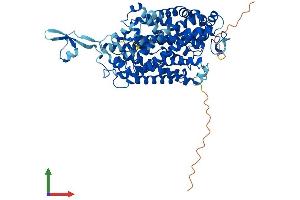 AlphaFold protein structure predicition of Mouse Recombinant Slc6a14 Protein, UniprotID Q9JMA9 (Slc6a14 Protein (AA 1-638) (His tag))