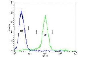Flow Cytometry (FACS) image for anti-Wilms Tumor 1 (WT1) (AA 346-375) antibody (ABIN3029622)
