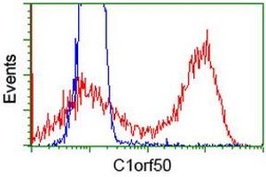Image no. 3 for anti-Chromosome 1 Open Reading Frame 50 (C1ORF50) antibody (ABIN1497032) (C1ORF50 Antikörper)