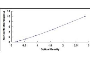 ARPC4 ELISA Kit