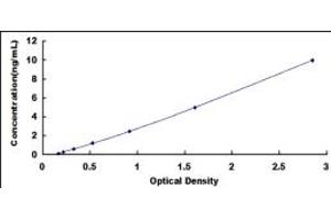 Typical standard curve (ARPC4 ELISA Kit)