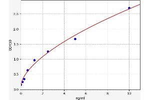 CYB5R3 ELISA Kit