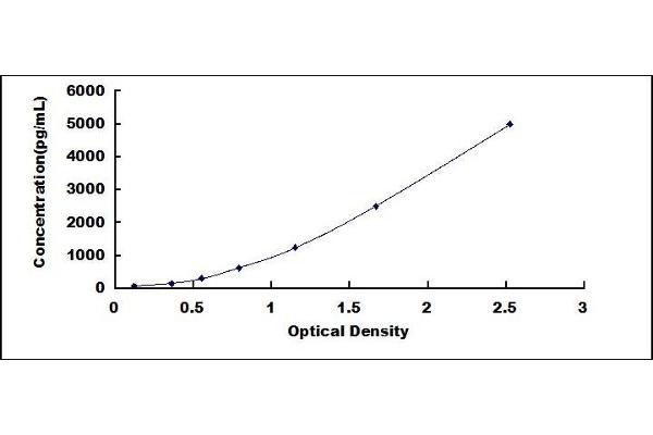 C5A ELISA Kit