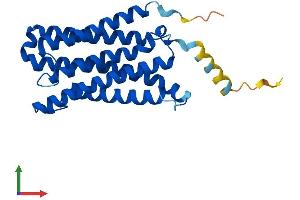 Protein Structure (PS) image for Cytochrome B-561 (CYB561) (AA 1-250) protein (His tag) (ABIN7557598)