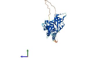 Protein Structure (PS) image for Absent in Melanoma 2 (AIM2) (AA 1-343) protein (His tag) (ABIN7551962)
