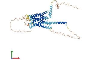 Protein Structure (PS) image for G Protein-Coupled Receptor 22 (GPR22) (AA 1-432) protein (His tag) (ABIN7559048)