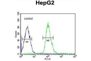 Flow cytometric analysis of HepG2 cells using DUSP2 / PAC1 Antibody (C-term) Cat. (DUSP2 Antikörper  (C-Term))