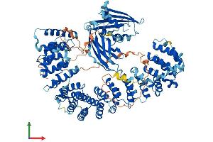 Protein Structure (PS) image for Adaptor-Related Protein Complex 2, alpha 1 Subunit (AP2A1) (AA 1-977) protein (His tag) (ABIN7552126)