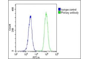 Overlay histogram showing U-2 OS cells stained with C(green line). (LIF Antikörper  (AA 72-101))