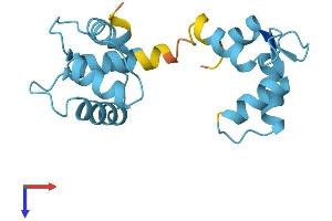 TNNC1 Protein (AA 1-161) (His tag)