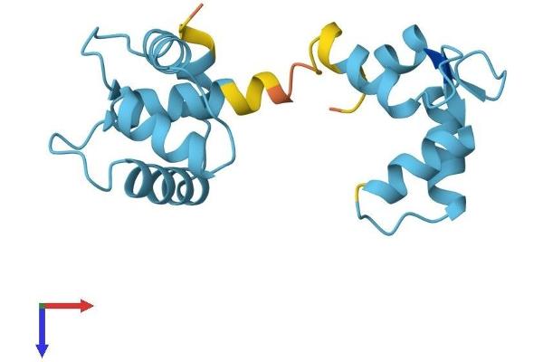TNNC1 Protein (AA 1-161) (His tag)
