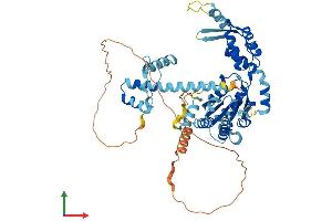 Protein Structure (PS) image for Katanin P60 Subunit A-Like 2 (KATNAL2) (AA 1-539) protein (His tag) (ABIN7560955)
