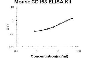 Mouse CD163 PicoKine ELISA Kit standard curve (CD163 ELISA Kit)