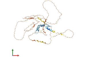 Protein Structure (PS) image for Early Growth Response 2 (EGR2) (AA 1-476) protein (His tag) (ABIN7547356)