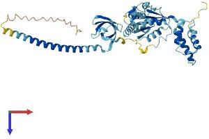 PSMC4 Protein (AA 1-418) (His tag)