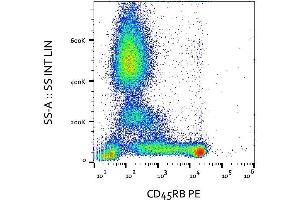 Surface staining of human peripheral blood with anti-CD45RB (MEM-55) PE. (CD45RB Antikörper  (PE))