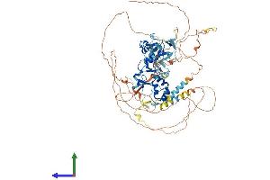Protein Structure (PS) image for Actin Binding LIM Protein 1 (ABLIM1) (AA 1-778) protein (His tag) (ABIN7551921)